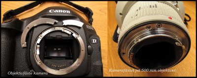 A 3000 dollar repair!! My Eos-1 MkIV fell from my backpacker together with 500 mm lens