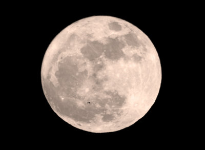 Supermoon at 356.577 kilometer distance and a heron flying by...