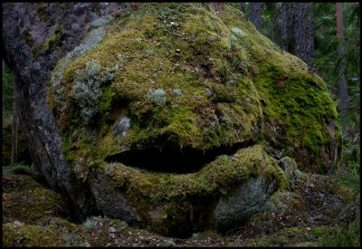 You never feel lonely in the forrest......Norra Kvill