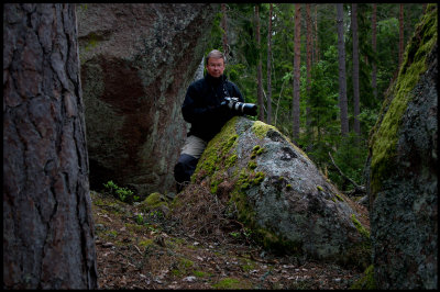 In John Bauer type forrest - Norra Kvill National Park