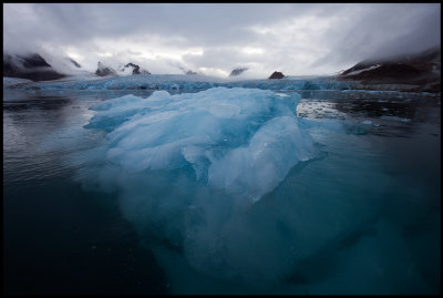 Floating ice near Smeerenburgbreen - Svalbard