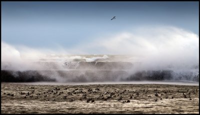 Stormwaves at Grnhgen harbour