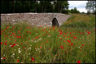 Kvinneby bridge and puppies