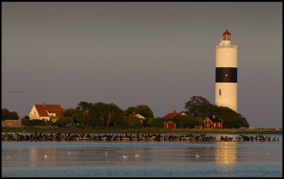 Lnge Jan Lighthouse at dusk