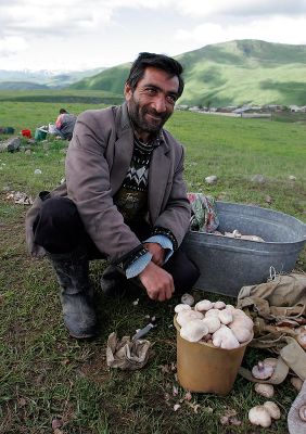 Armenian man with mushroom