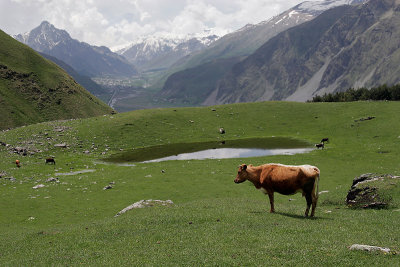 The slopes around Kazbegi