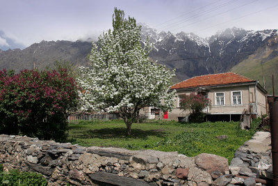 Caucasus view