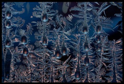 My frozen kitchen window