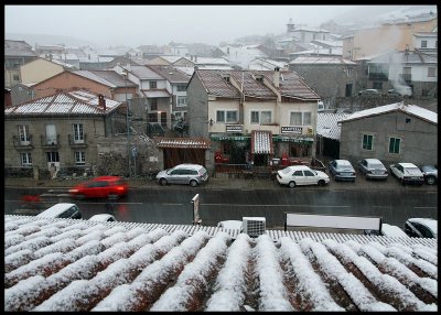 Newly fallen snow otside my window at Hoyos del Espino