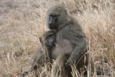 2010 07 07_1288.JPG