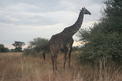 2010 07 07_1351.JPG