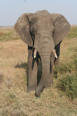2010 07 08_2104.JPG