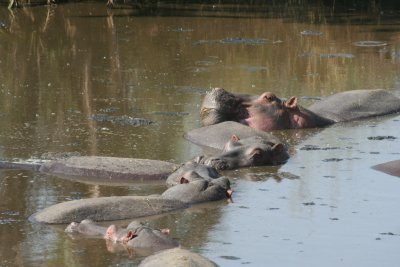 2010 07 09_2003.JPG