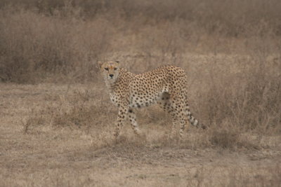 2010 07 11_1817.JPG