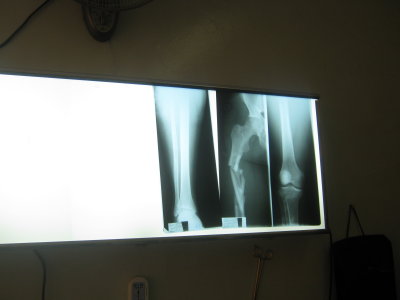 2010 06 20_2619.JPG