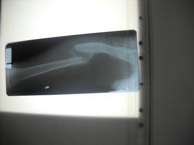 2010 06 20_2634.JPG