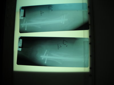 2010 06 20_2636.JPG