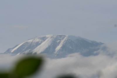 2010 06 26_1516.JPG