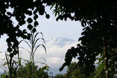 2010 06 26_1525.JPG
