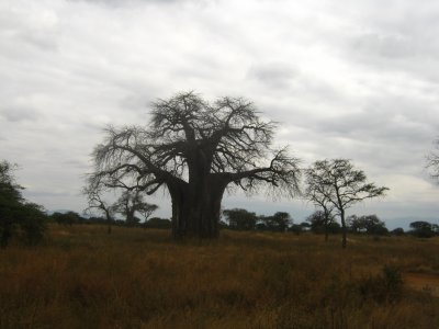 2010 07 05_2337.JPG