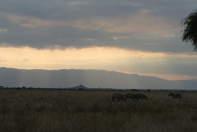 2010 07 07_1338.JPG