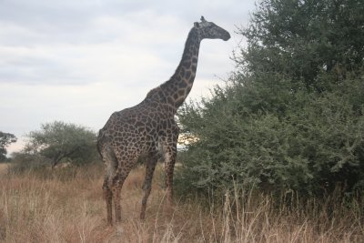 2010 07 07_1349.JPG