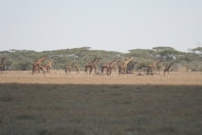 2010 07 08_1131.JPG