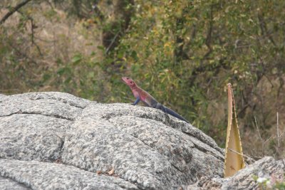 2010 07 08_1157.JPG