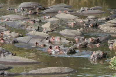 2010 07 09_2005.JPG
