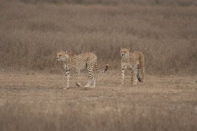 2010 07 11_1815.JPG