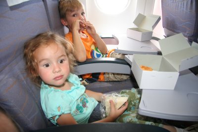 Plane (plain) food
