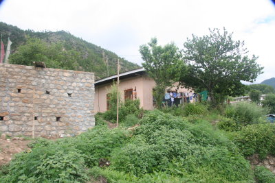 Volunteer house with surrounding weeds