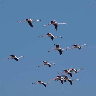 800fl30aPA100796.JPG
