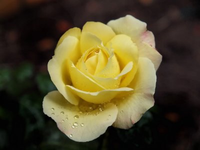 1024xyr6aPA189056.JPG