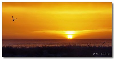 1024sunrise30dP4284585.JPG