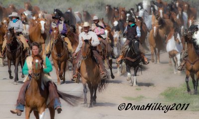 Sombrero Horse Drive 2011