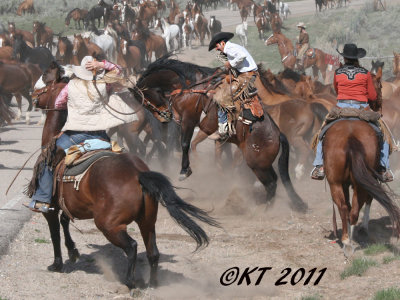 KT_8292-web.jpg