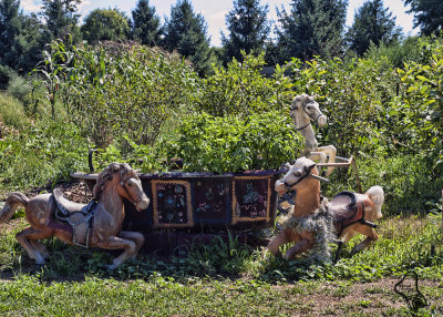 Ruth Anns Garden
