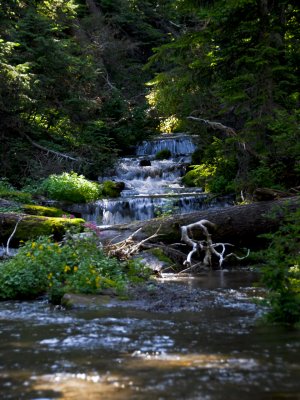 Pinnacle Creek