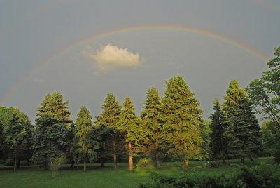 Noah's Great Rainbow