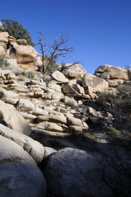 Trail to Barker Dam