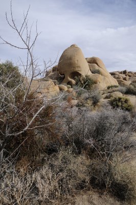 Skull Rock