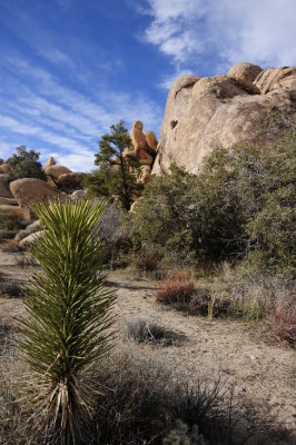 Trail to Barker Dam