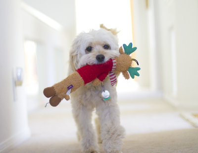 Baxter