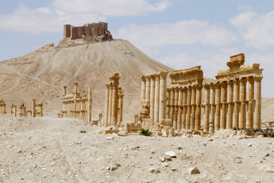 Fakhr-al-Din al-Ma'ani Castle Overlooking Palmyra