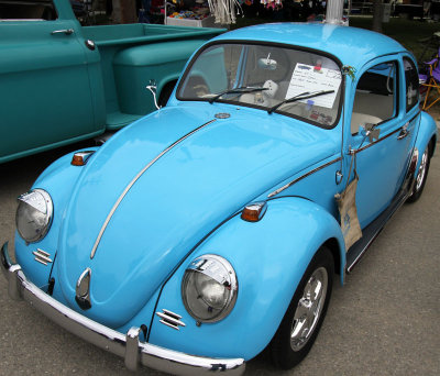 '65 VW Bug