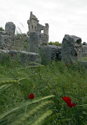 Sergilla, a  Dead City in Syria