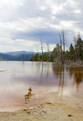 Mammoth Hot Springs