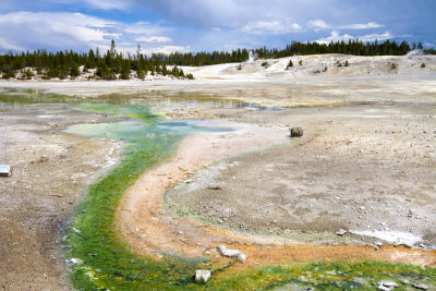 Norris Geyser Basin