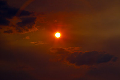 Late Afternoon